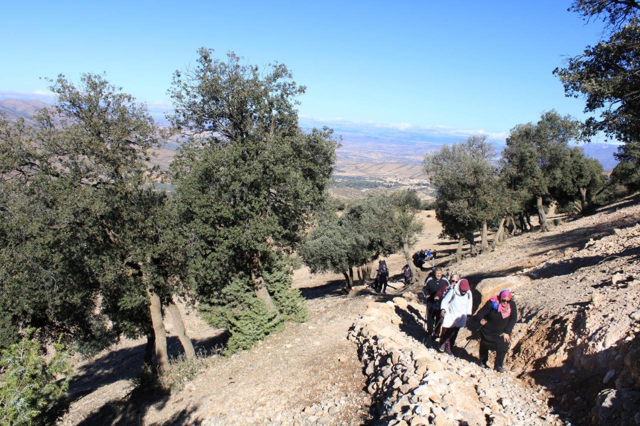 Gite Skoura Caid Bou Malla エクステリア 写真