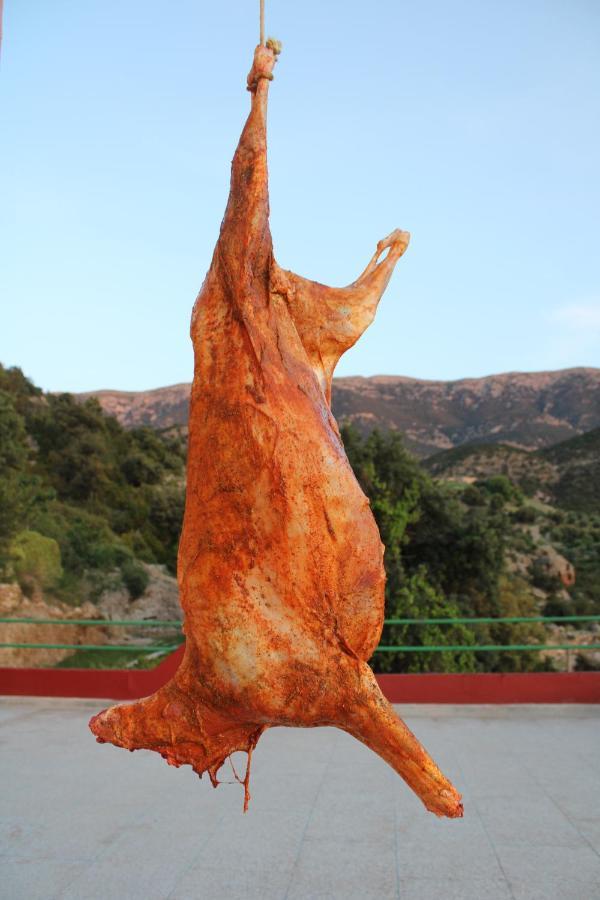Gite Skoura Caid Bou Malla エクステリア 写真