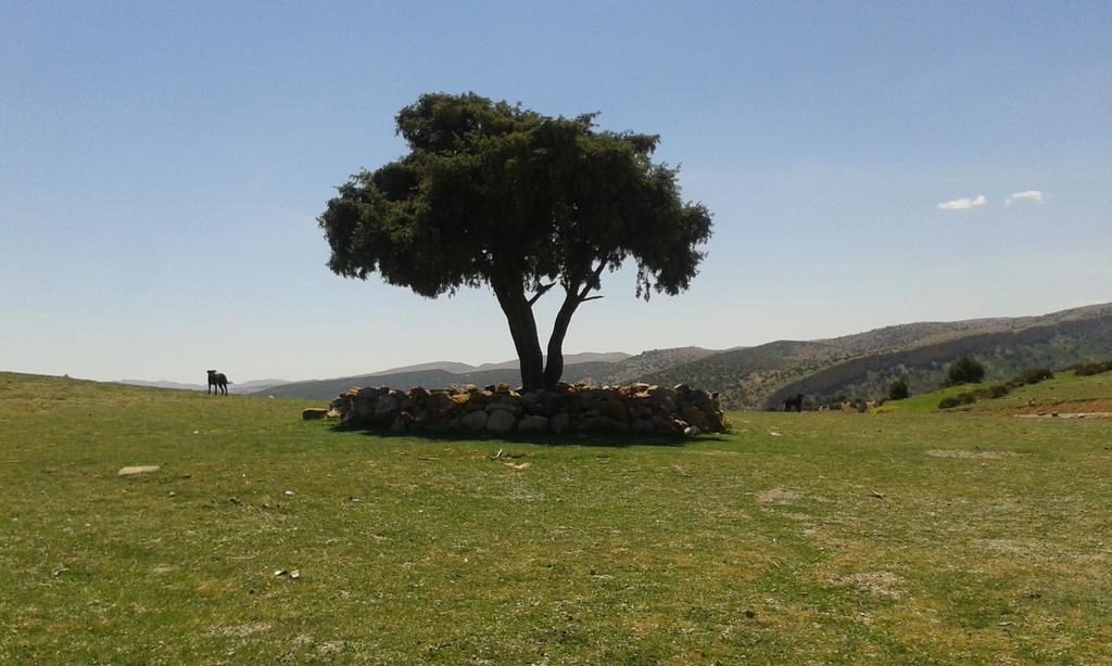 Gite Skoura Caid Bou Malla エクステリア 写真
